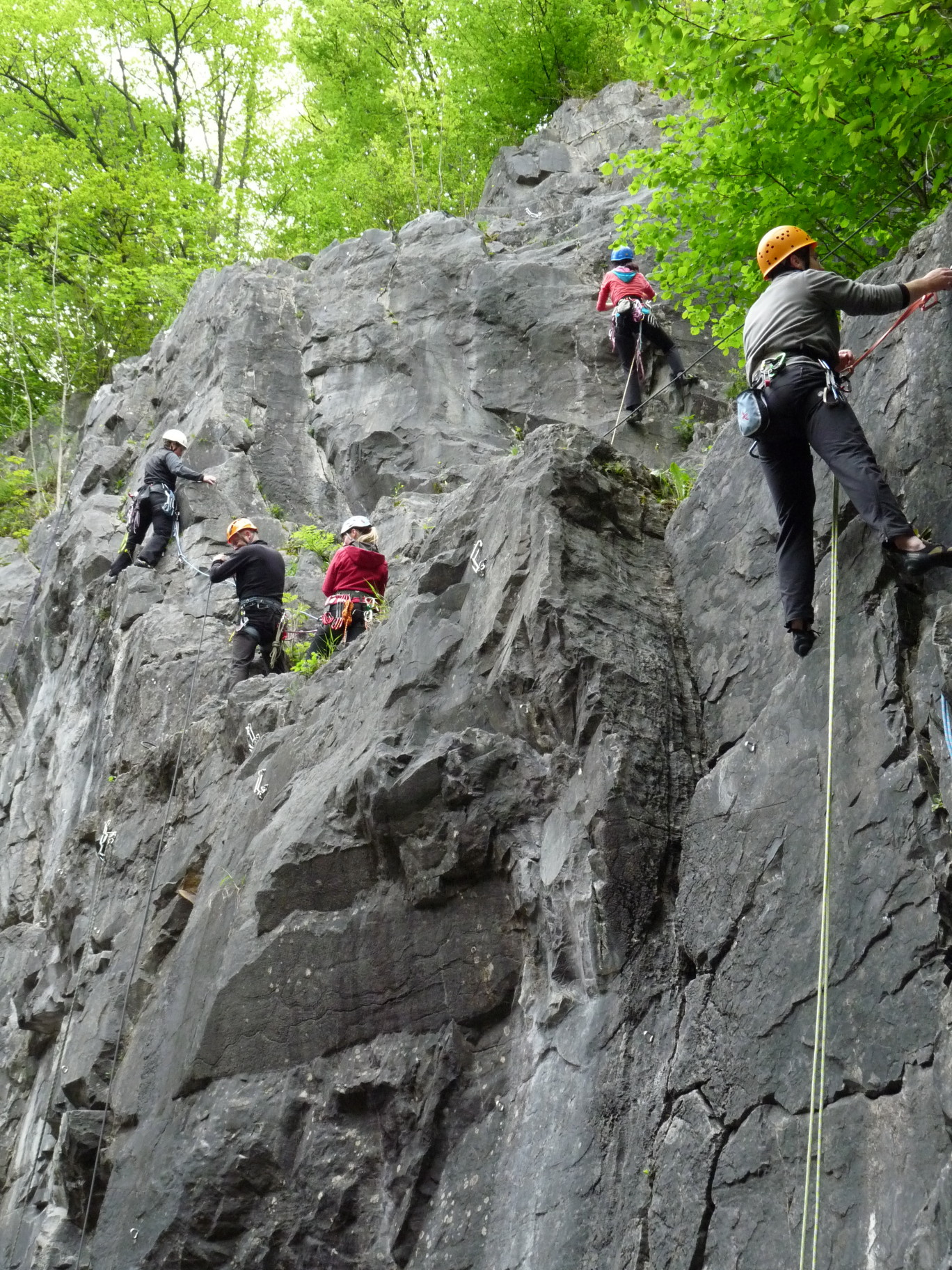 Eine Gruppe Erwachsener klettert am Fels